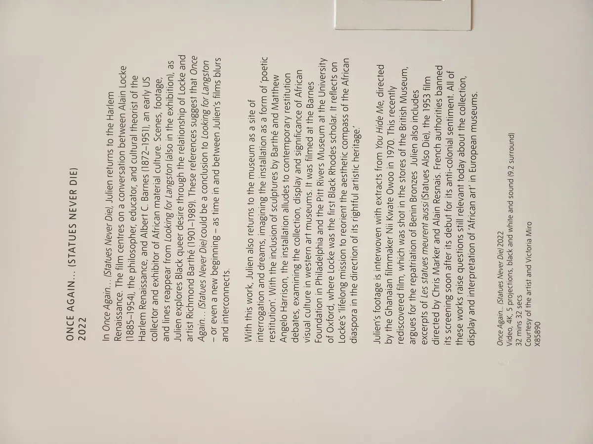 Isaac Julien Gallery Image 11